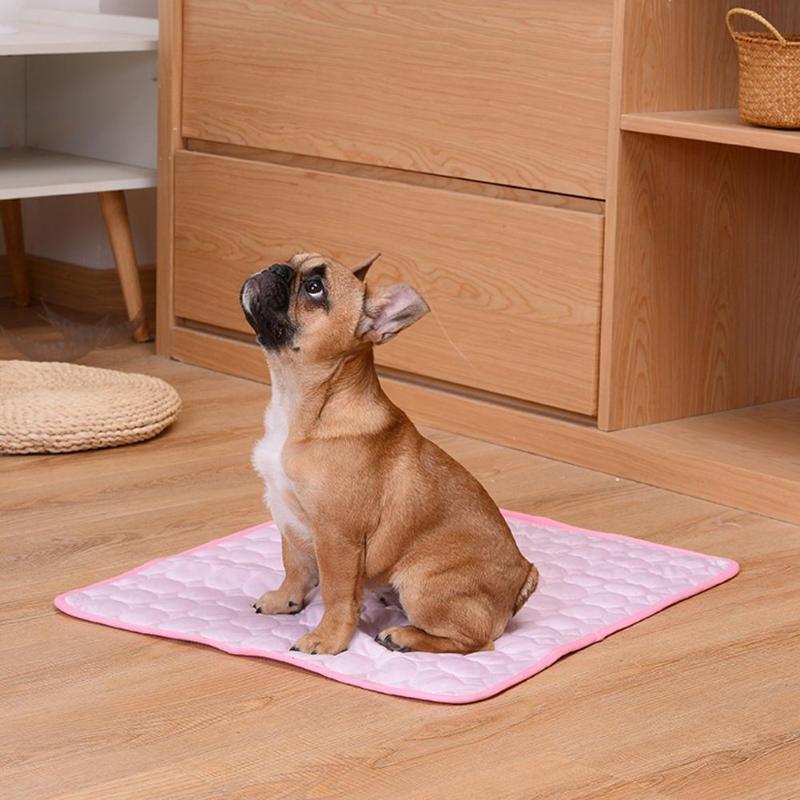 Keep Dogs Cool This Summer