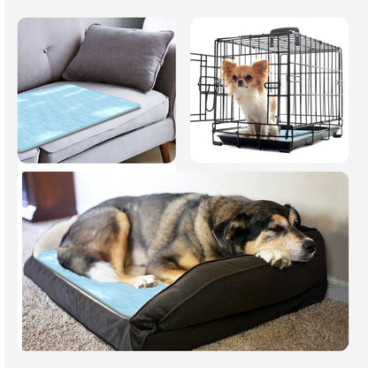 Keep Dogs Cool This Summer