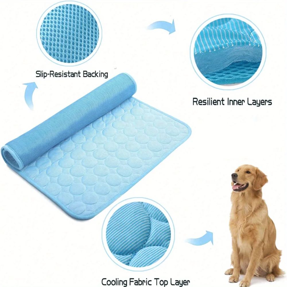 Keep Dogs Cool This Summer