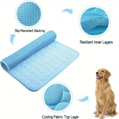 Keep Dogs Cool This Summer