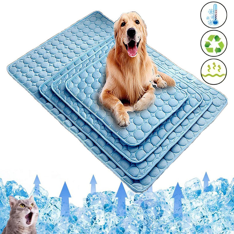 Keep Dogs Cool This Summer