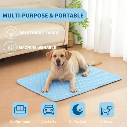 Keep Dogs Cool This Summer