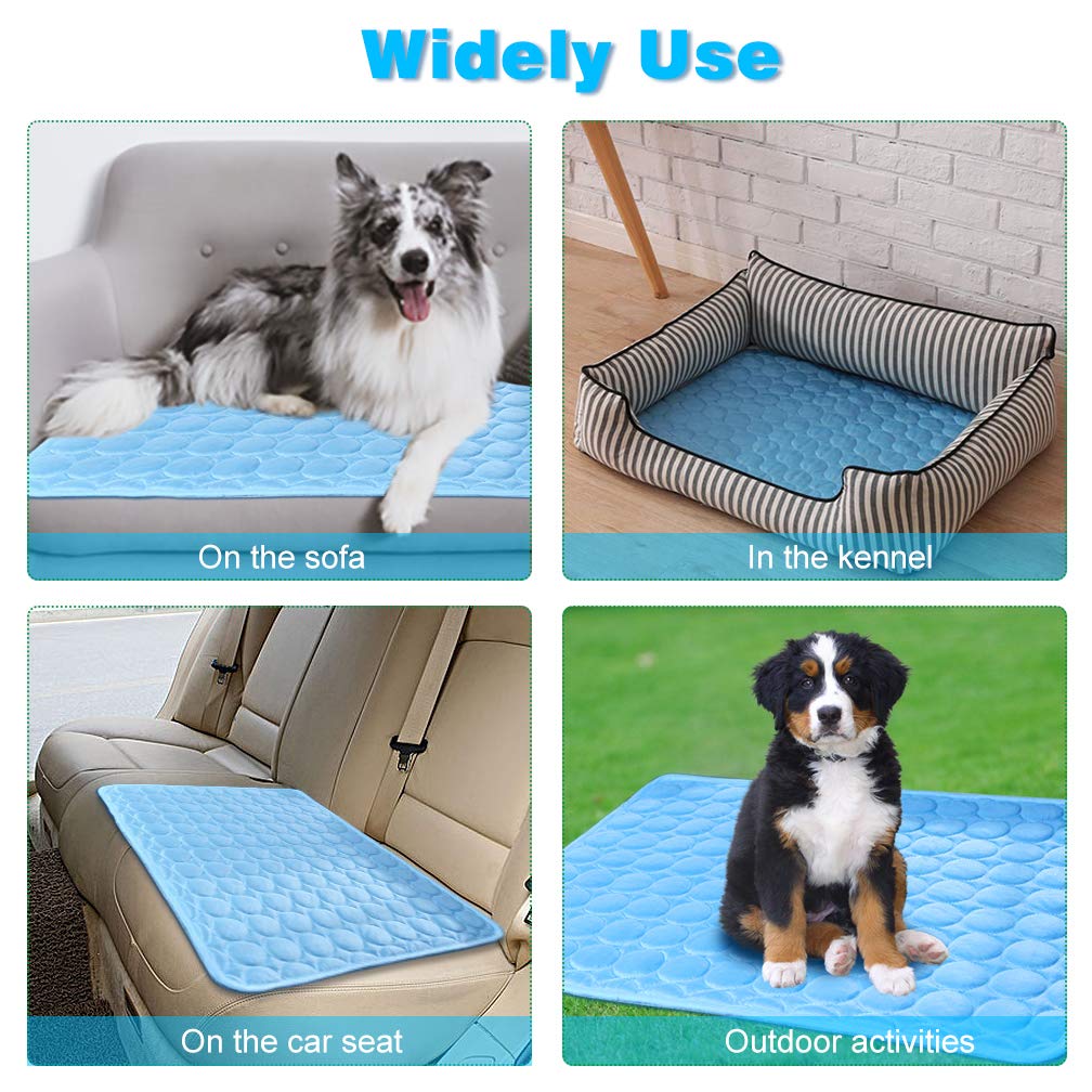 Keep Dogs Cool This Summer
