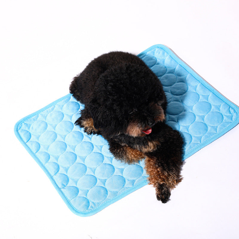 Keep Dogs Cool This Summer